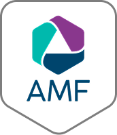 Memorias AMF